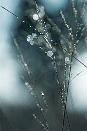 《福尔摩斯：恶魔之女》Steam全区永涨 国区涨价23元